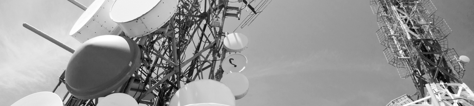 Estructuras Regulatorias